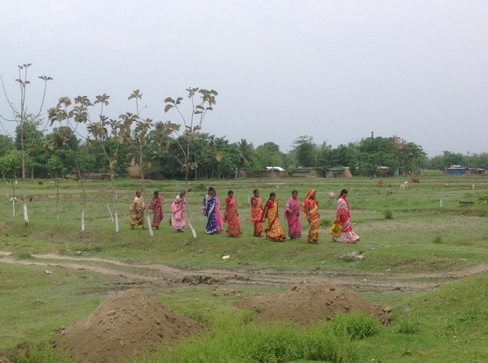 2015-04-13 14.53.33 - Copy2.jpg