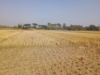 agri. field in 2016