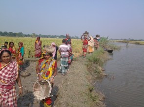 dyke preparation to store freshwater in canal by ‘joba_ women group
